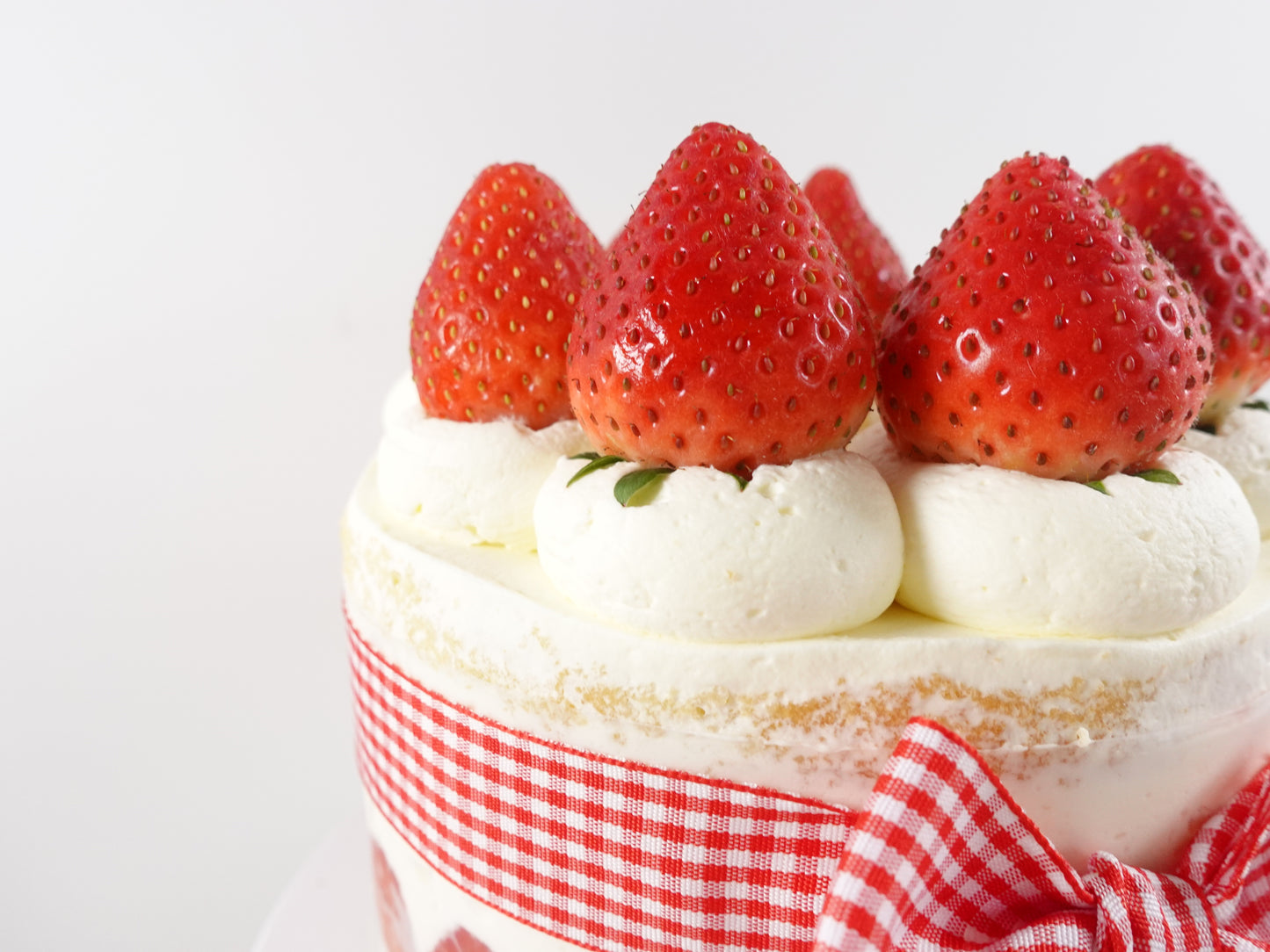 RIBBONED BERRY DREAM